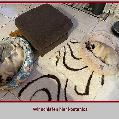 Stadt-Gut-Hotel Rheinischer Hof Essen Eksteriør billede